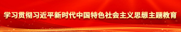 色大屌学习贯彻习近平新时代中国特色社会主义思想主题教育